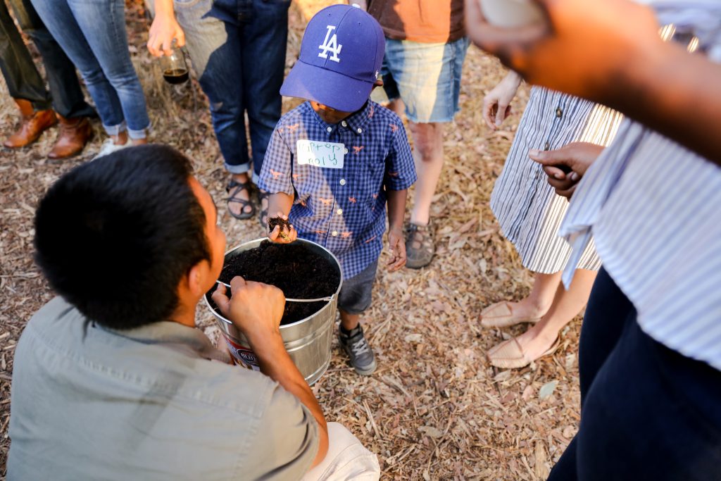 A small boy takes a handful of compost from a bucket.