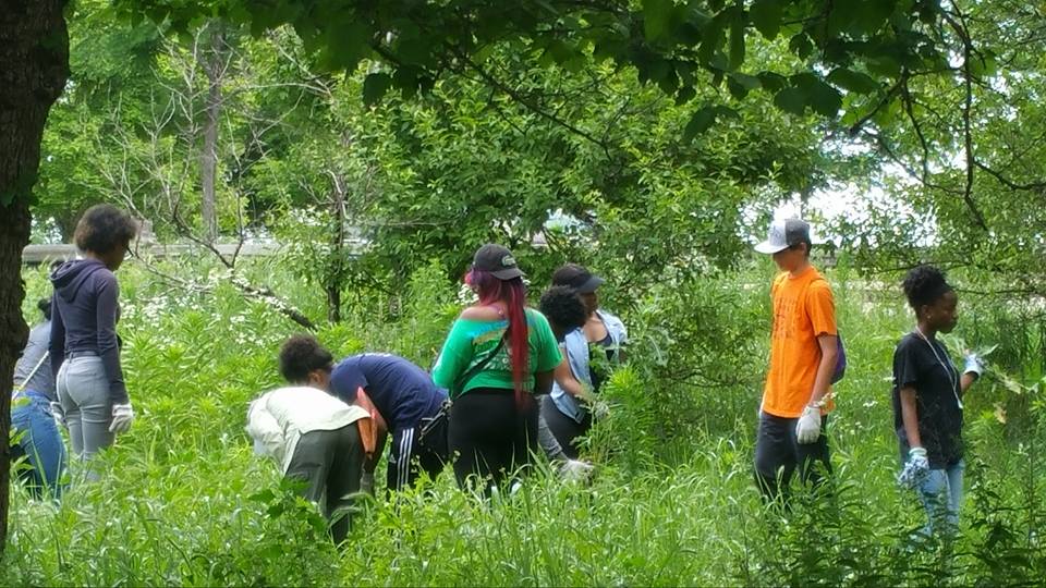 Youth explore in a verdant park