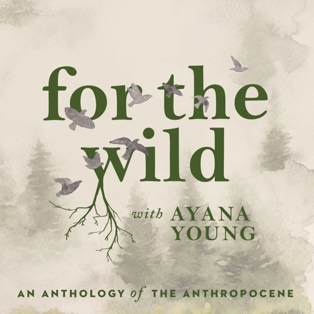 For The Wild's podcast logo