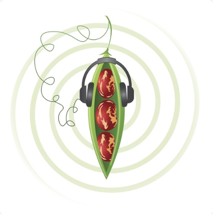 Native Seed Pod logo