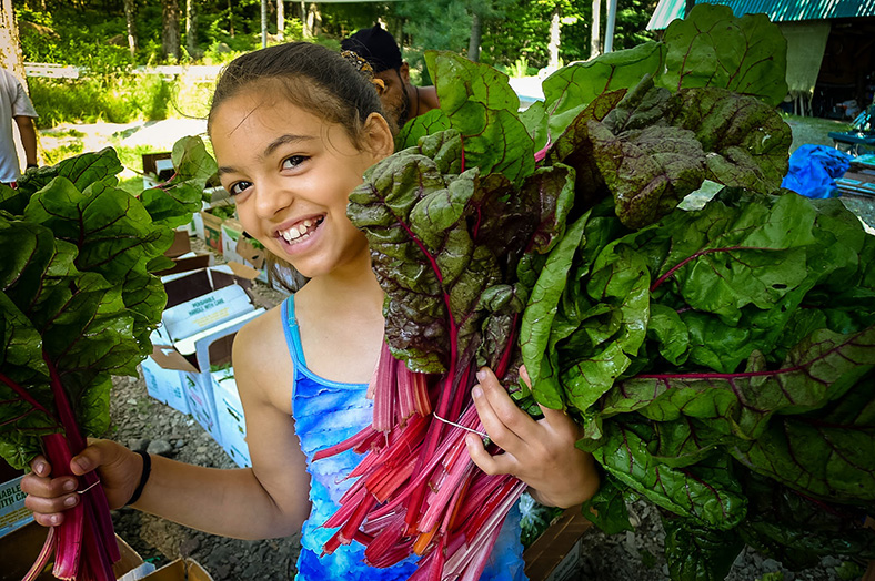A girl volunteering on the farm holds bundles of freshly picked chard.