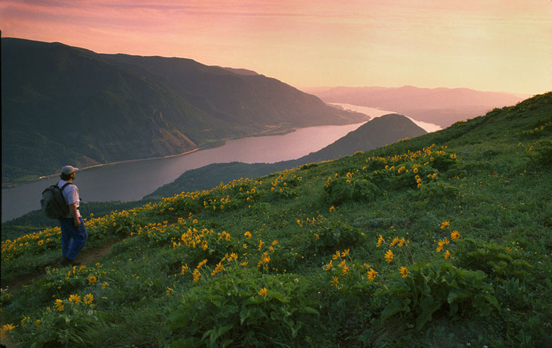 A hiker on Dog Mountain looks out at the Columbia River Gorge