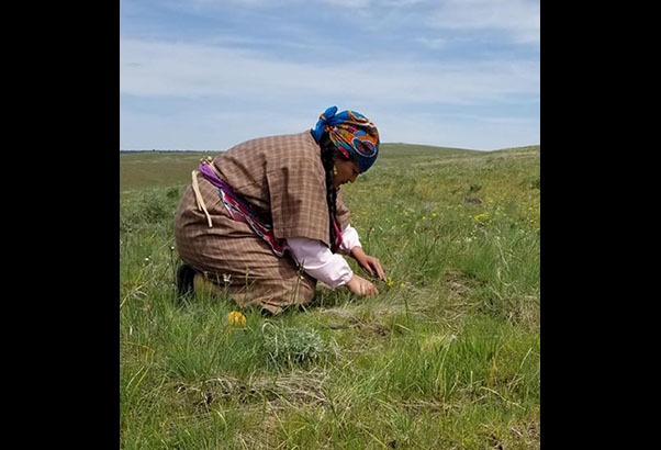Nez Perce women gathering on Wallowa Land Trust lands.