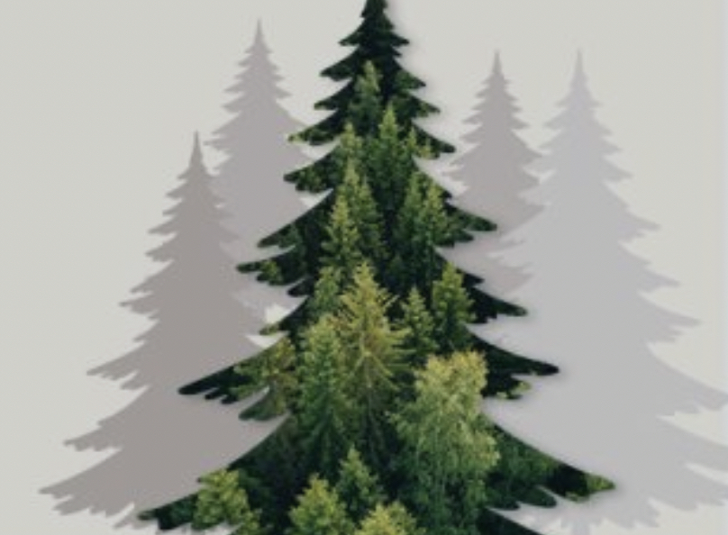 Computer generated logo of trees.