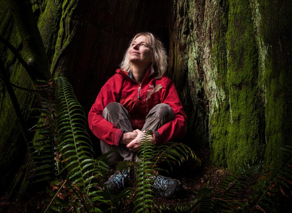 Portrait of Suzanne Simard in a red Arcteryx jacket sitting in the hollow of a redwood tree.
