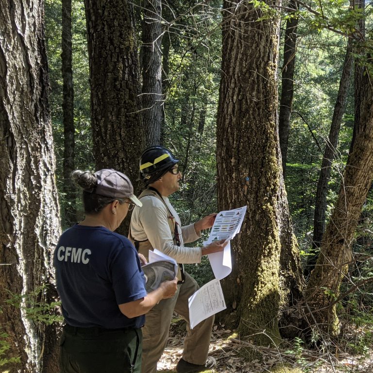 Native firefighters in a forest reading from a paper pamphlet.